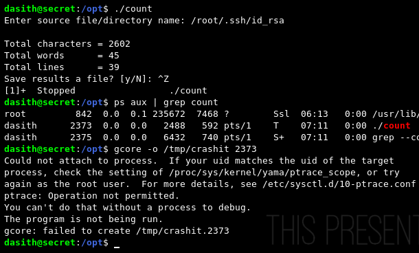 coredump fail 2